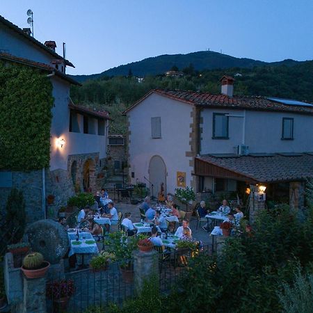 Agriturismo Borgo Mocale Castelfranco di Sopra Exterior foto